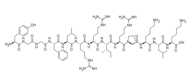 Dynorphin A (1-13)强啡肽 A (1-13)
