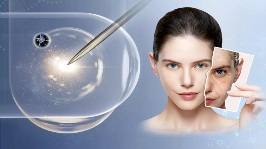 受损肌肤修复专家——六肽-9