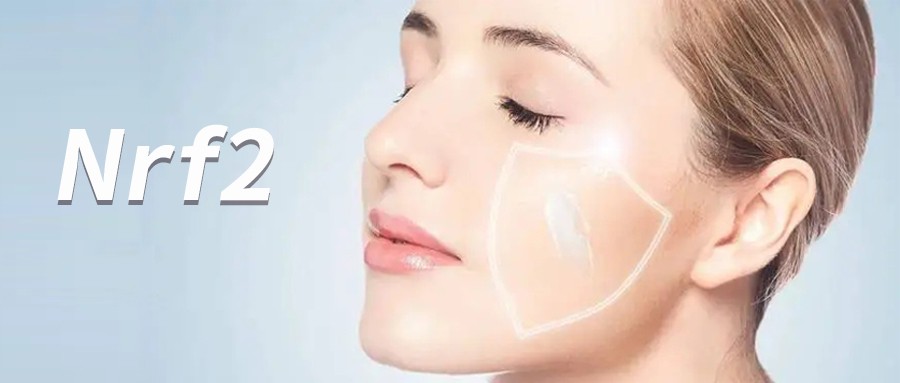 内源性抗氧化Nrf2 一键激活年轻总开关