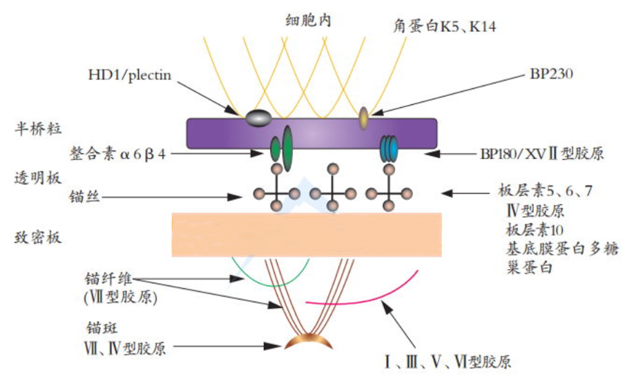 微信图片_20220801155513.png