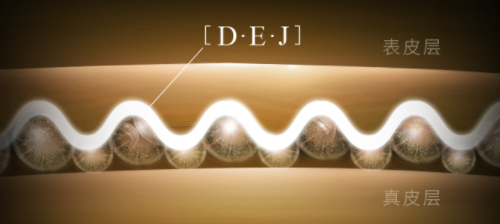 你知道吗？肌肤年轻的秘密竟然在DEJ里！