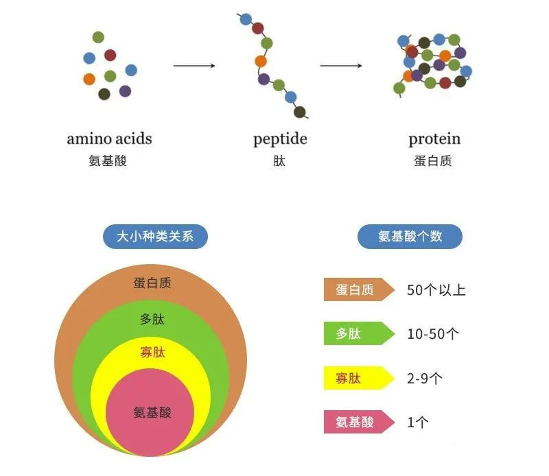 微信图片_20221110094040.jpg