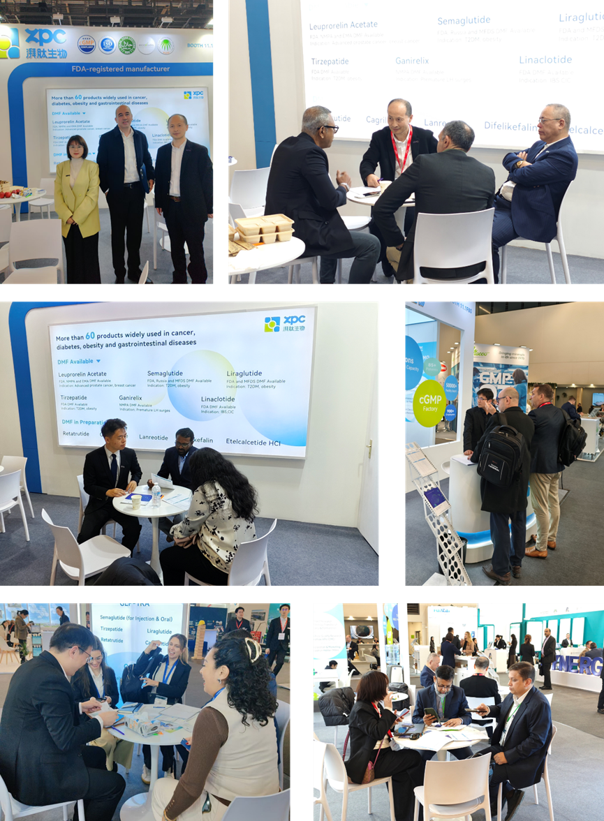 GMP多肽合成公司 GMP多肽合成公司