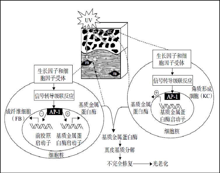 1656290501886421.png 微信图片_20220627084032.png