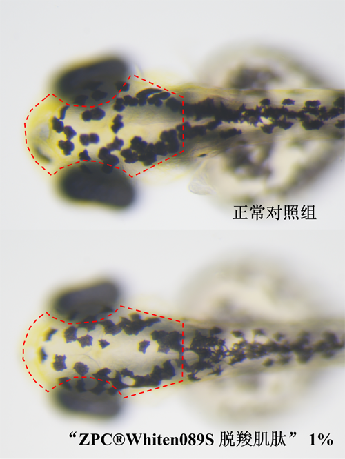 1656291563437035.png 微信图片_20220627085407_副本1.png