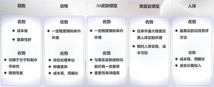 GMP多肽合成公司