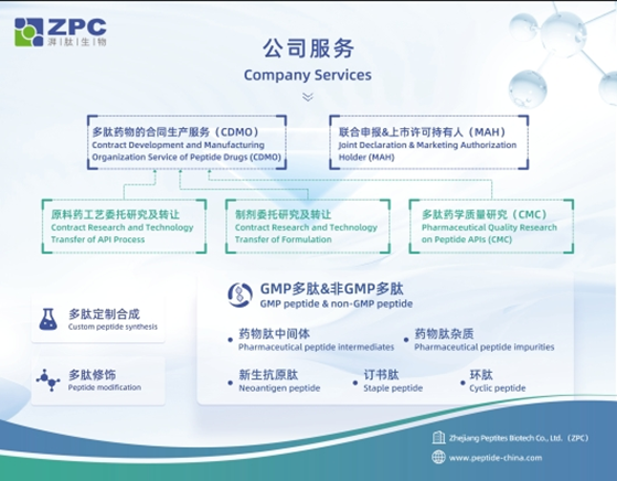 GMP多肽合成公司