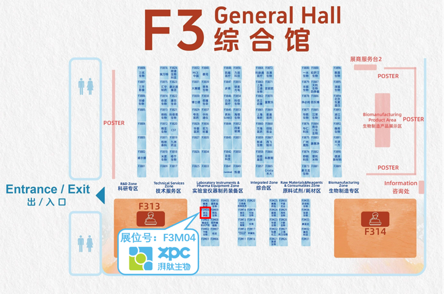 GMP多肽合成公司