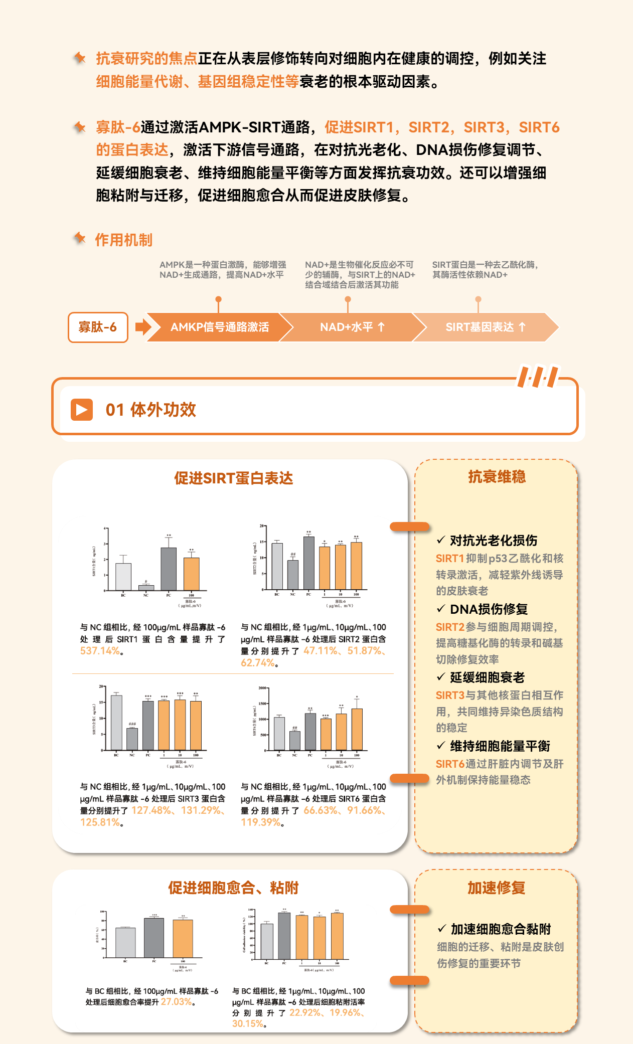 GMP多肽合成公司