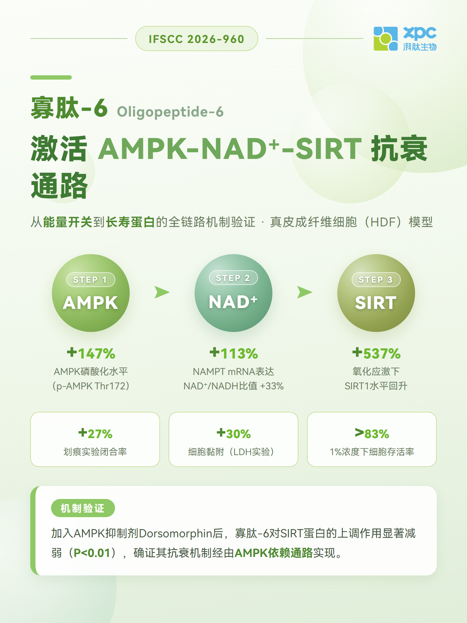 GMP多肽合成公司